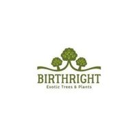 Birthright